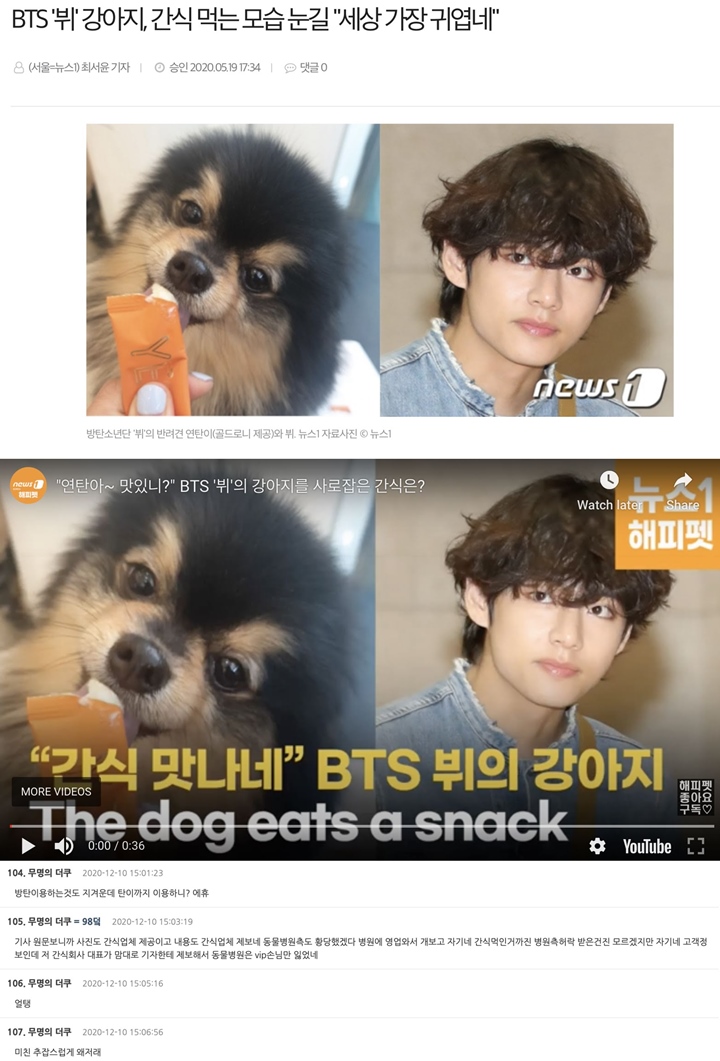 Yeontan Anjing V BTS Dimanfaatkan untuk Pansos Picu Kemarahan Netizen