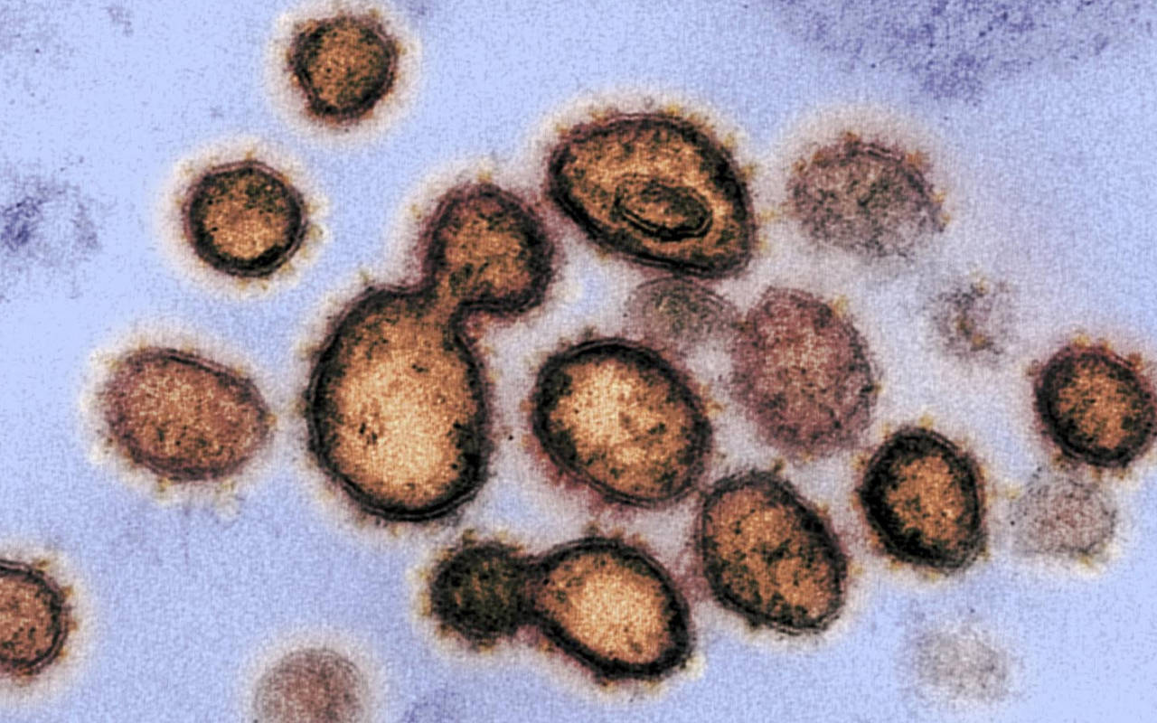 Mutasi Virus Corona Afrika Selatan Lebih Ganas, Ilmuwan Khawatir Pengaruhi Efektivitas Vaksin 