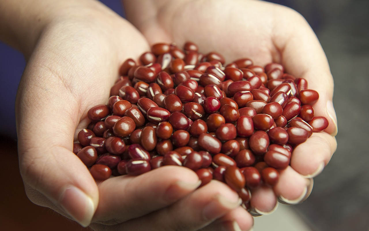 Harga Kedelai Impor Meroket, Siswa SMA Ini Produksi Tempe Berbahan Kacang Merah