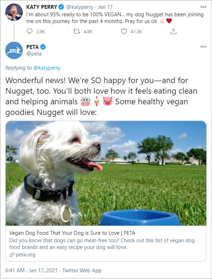 Dukungan PETA untuk Katy Perry yang Panen Kritik Usai Bikin Anjing Piaraannya Jadi Vegan