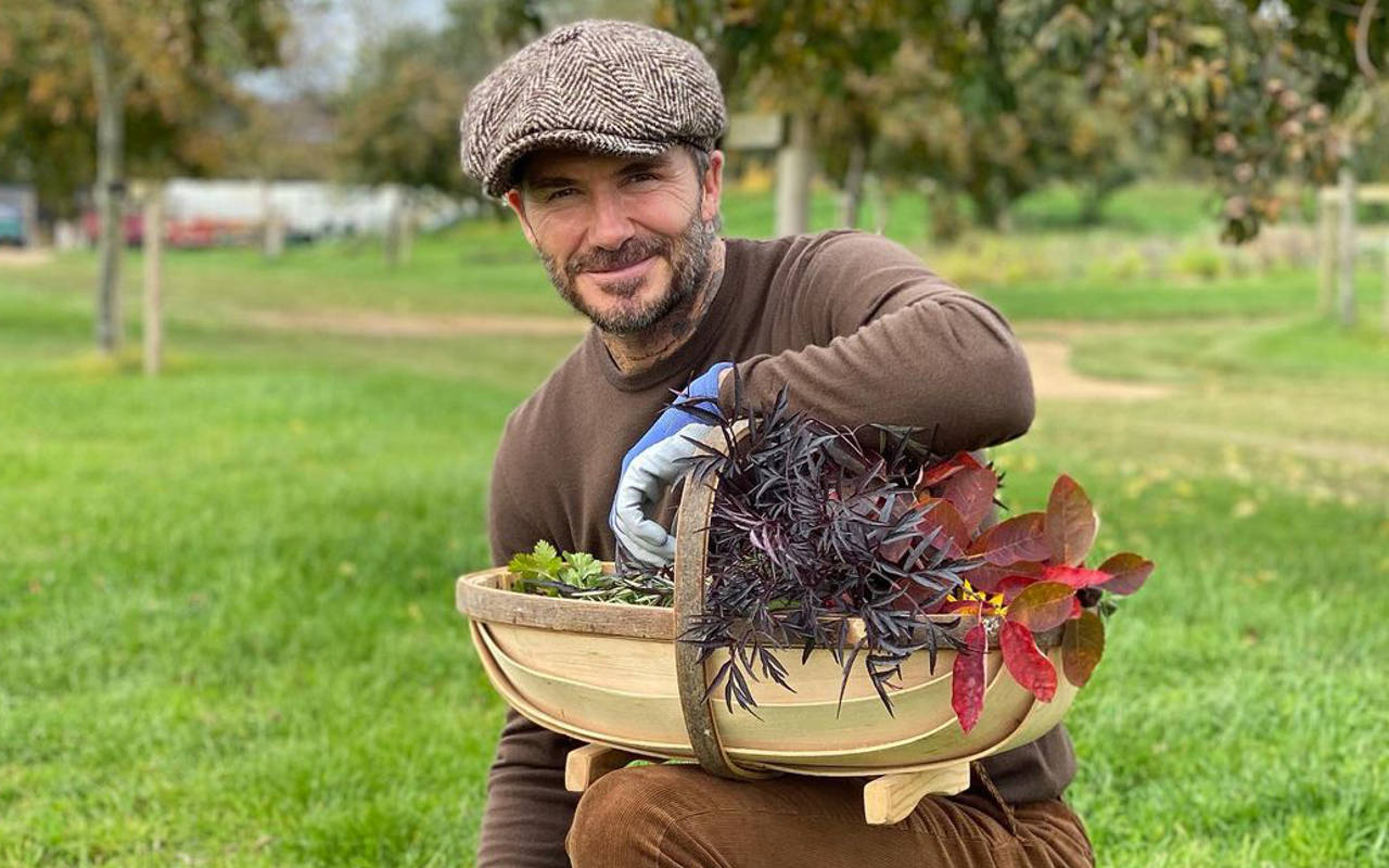 Kantongi Izin Distrik Setempat, David Beckham Bakal Bangun Gudang Megah Di Rumahnya