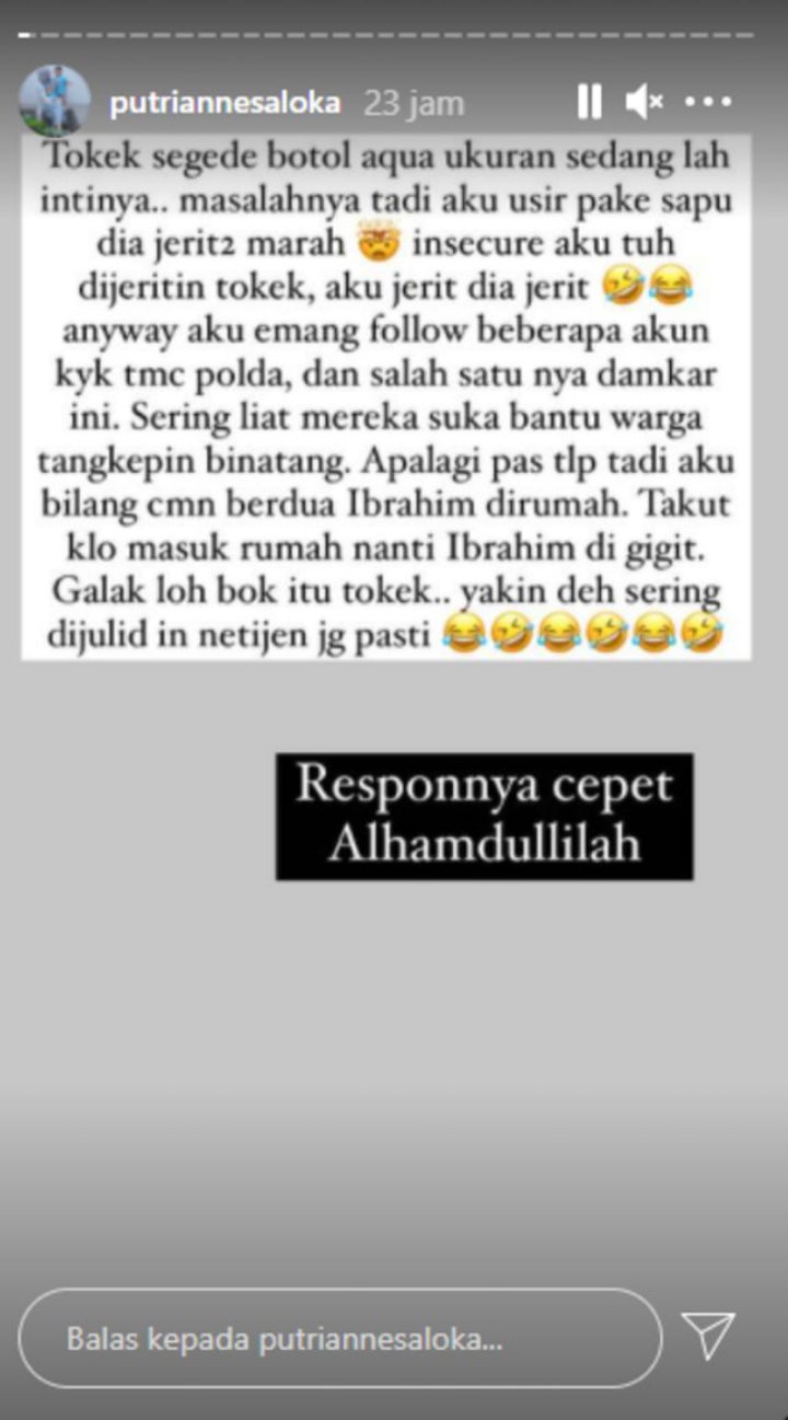 Khawatir Berbahaya Pada Anaknya, Putri Anne Panggil Damkar Untuk Usir Tokek Di Rumah