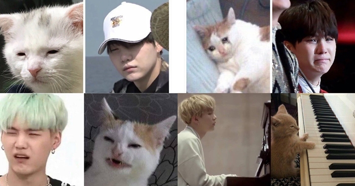Kemiripan Suga BTS dengan Kucing Valid No Debat 2