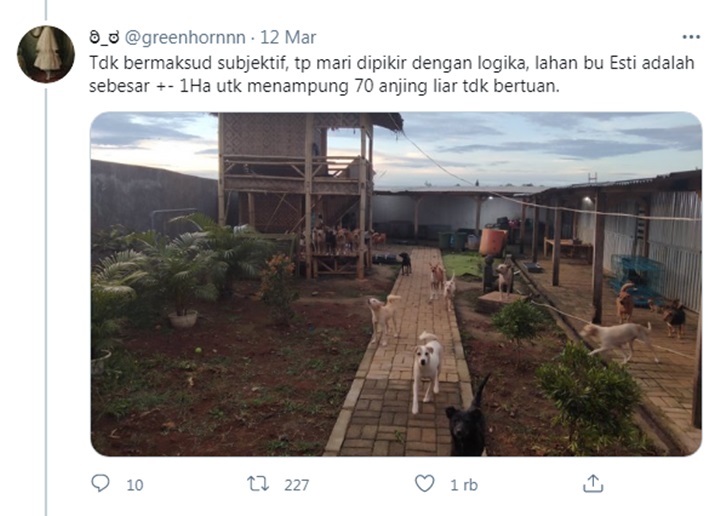Utas Hesti