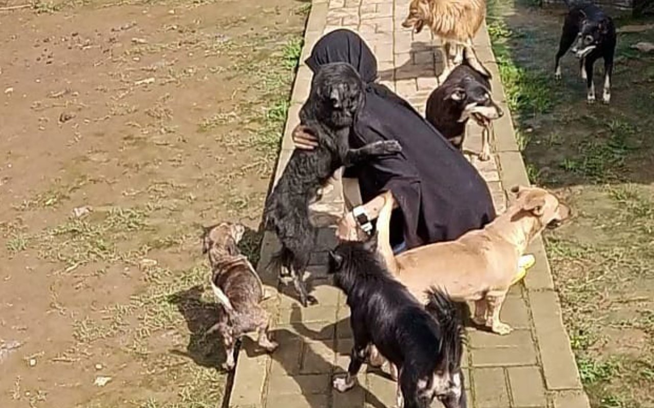 Heboh Wanita Bercadar Rawat 70 Anjing Liar, Ini Kata Ketua Komisi Fatwa MUI