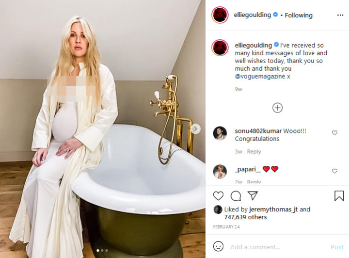 Selamat! Ellie Goulding Lahirkan Anak Pertama, Sang Suami Minta Privasi