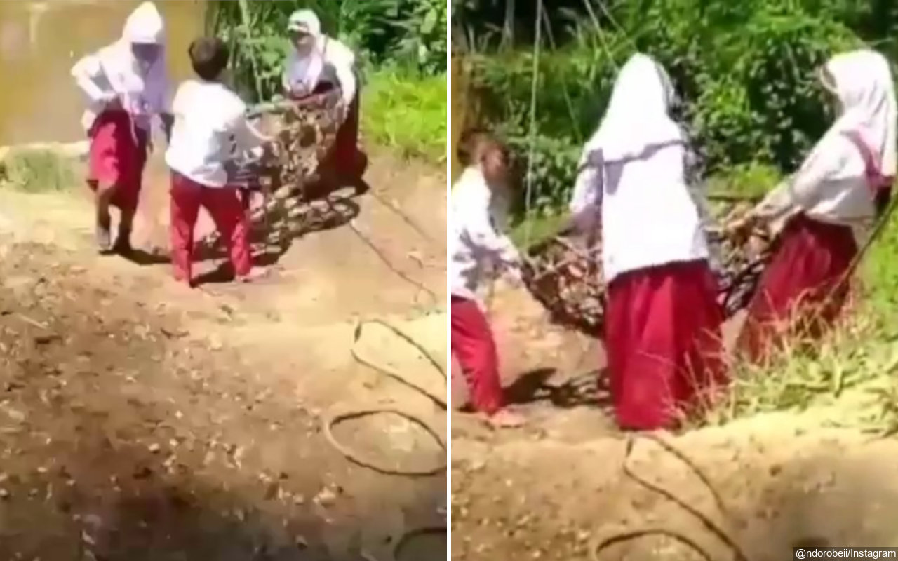 Viral Siswa SD Pakai 'Flying Fox' Seberangi Sungai ke Sekolah, KPAI Prihatin 