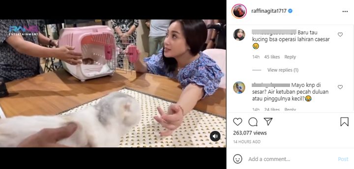 Nagita Slavina Sukses Bikin Heran Usai Cerita Soal Kucing Peliharaan Yang Lakukan Operasi Sesar