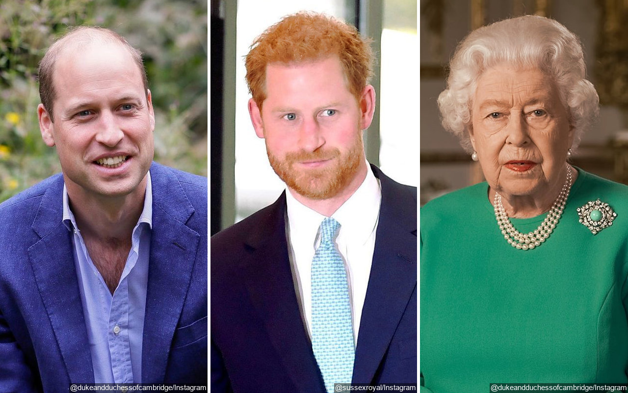 Kepercayaan Pangeran William Pada Harry 'Hilang', Ratu Elizabeth II Disebut Jadi Kunci Perdamaian