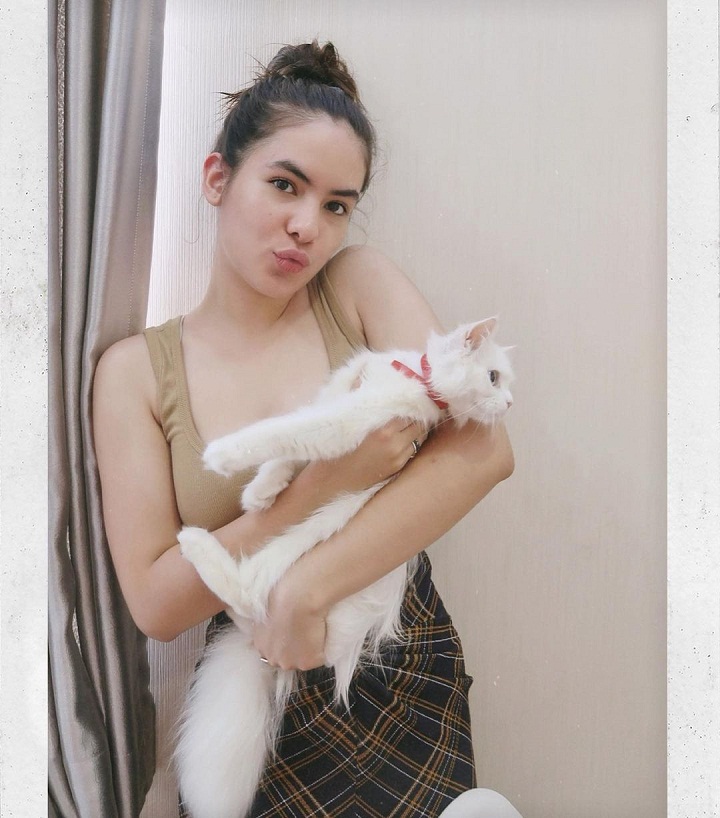 Penyayang Kucing