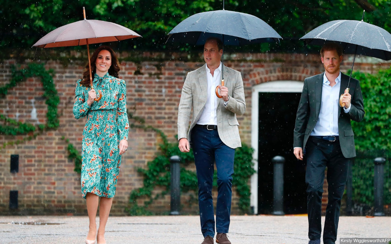 Kate Middleton Ambil Alih Sejumlah Peran Penting Pangeran Harry di Kerajaan, Apa Saja?