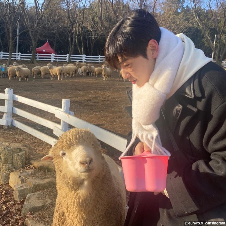 Cha Eunwoo tampak lucu saat mandikan domba