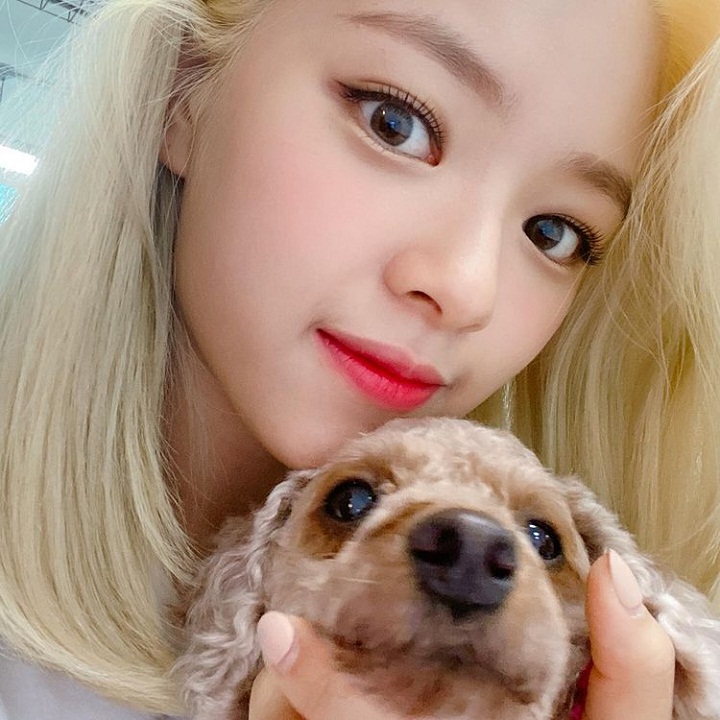 Momen imut Jeongyeon dengan anjing