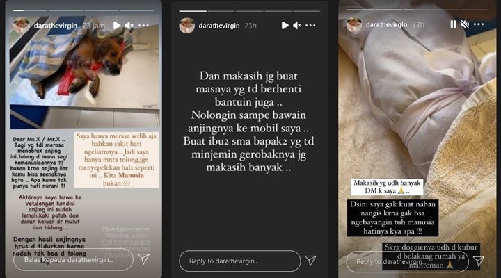 Dara The Virgin Sakit Hati Temukan Anjing Liar Ditabrak dan Tak Ditolong: Kita Manusia Bukan?
