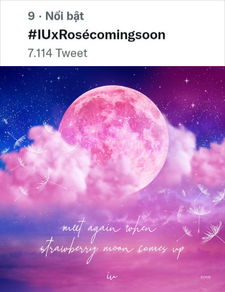 Rose BLACKINK Cepat-Cepat Balik ke Korea Diduga Demi Siapkan Kolaborasi dengan IU