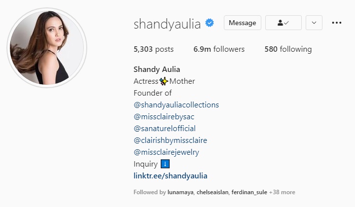 Shandy Aulia Hapus Status Istri dari Bio Instagram, Isyaratkan Rumah Tangga Retak?
