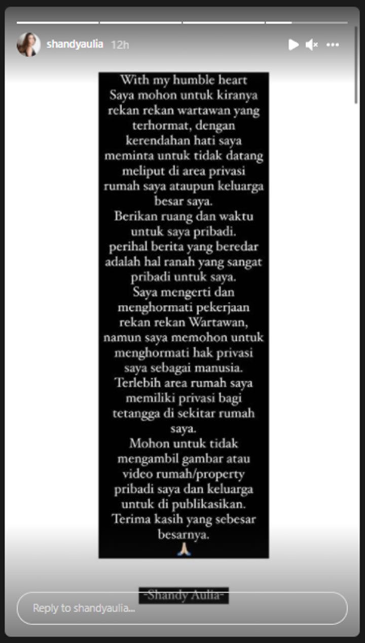 Shandy Aulia