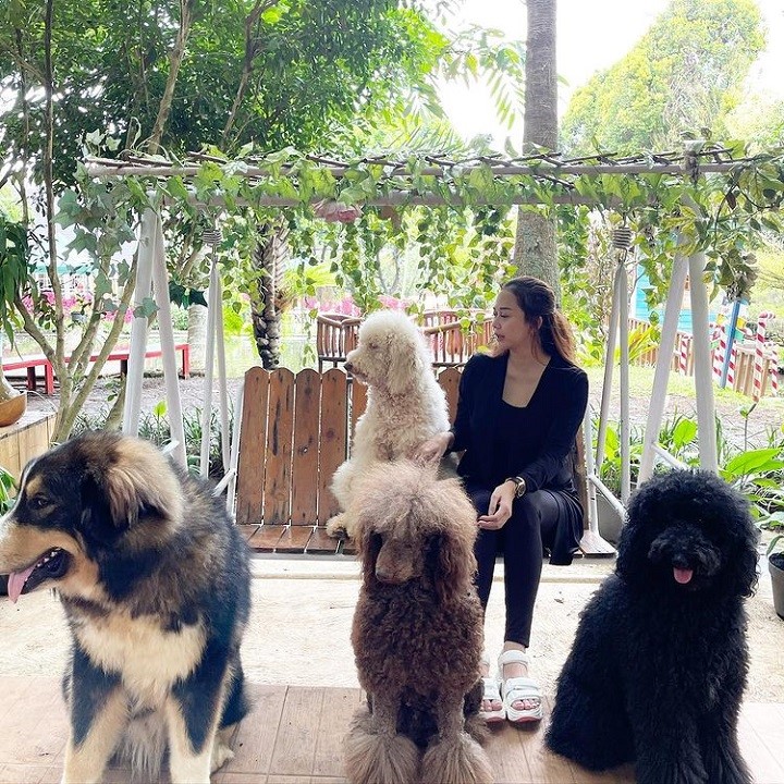 Seorang <i>Animal lover</i>