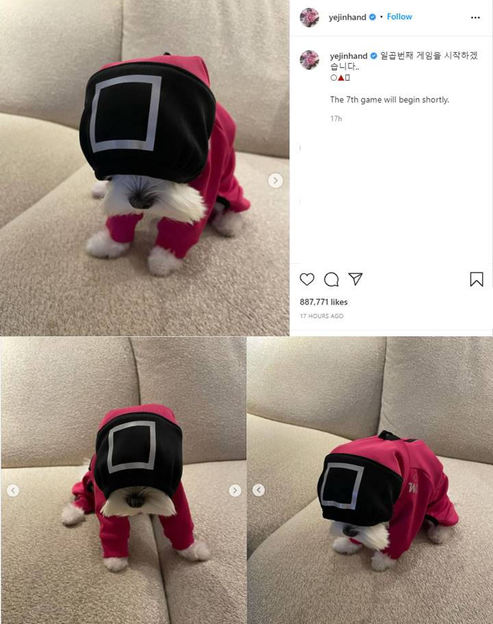 Lucunya Son Ye Jin Dandani Anjing Peliharaan Pakai Kostum Ala Pengawal \'Squid Game\', Kelewat Imut