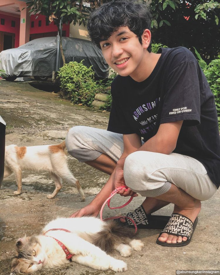 Pecinta kucing