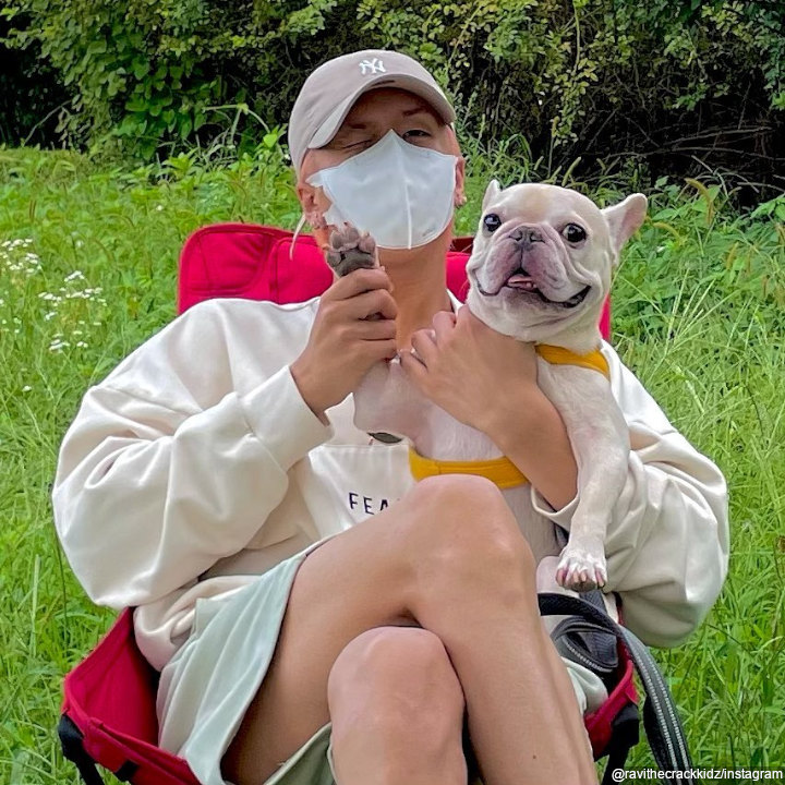 Imut Dengan Anjing Peliharaan
