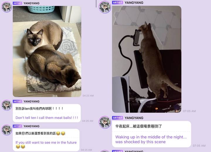Jadi Pengasuh Sementara, Yangyang WayV Kaget Kucing Kesayangan Ten Masuk Akuarium Ikan