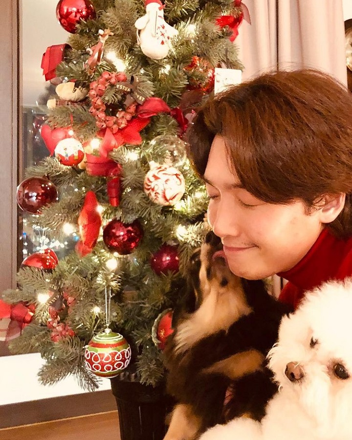 Pecinta anjing
