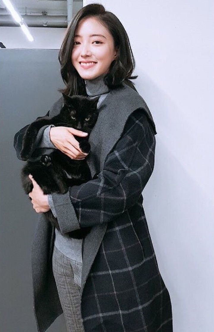 Si pecinta kucing