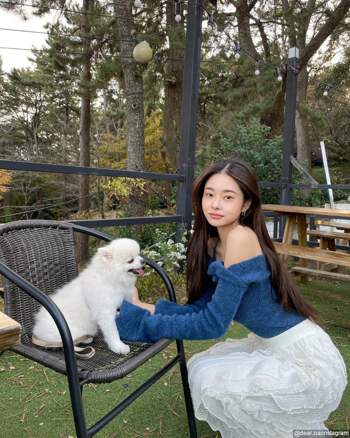 pecinta anjing