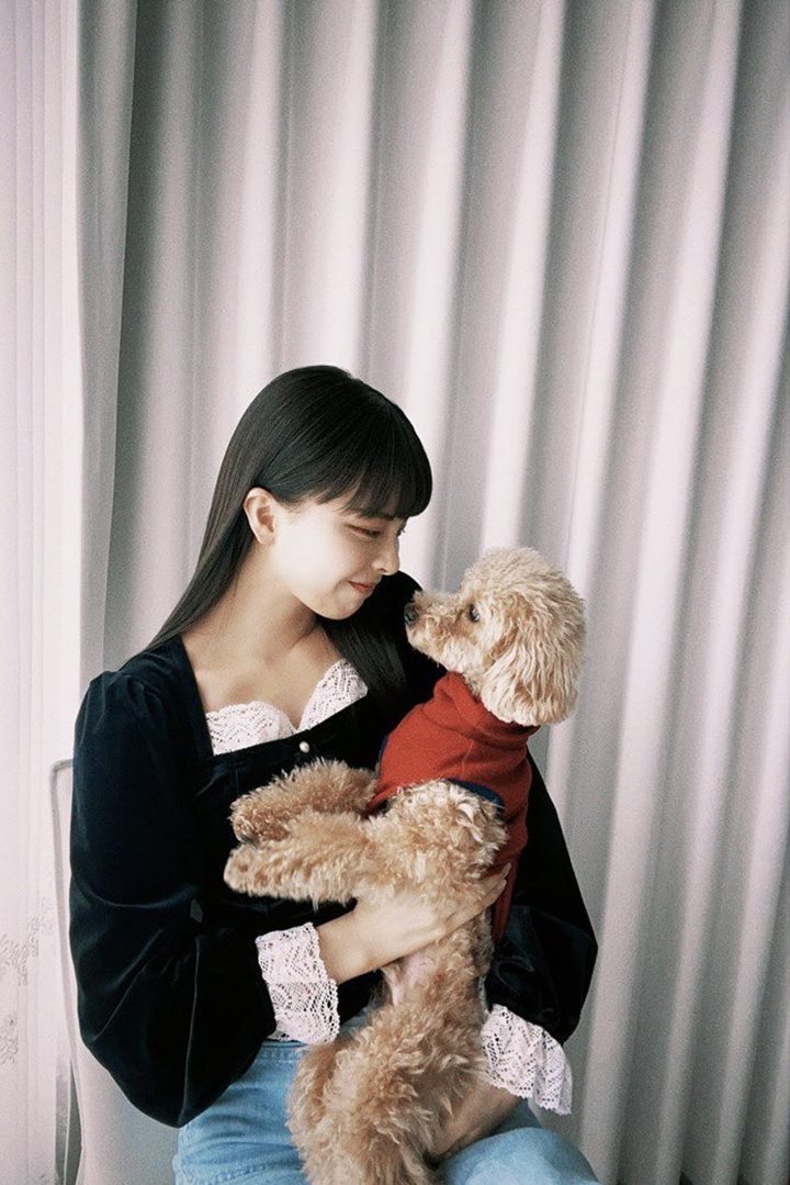 pecinta anjing