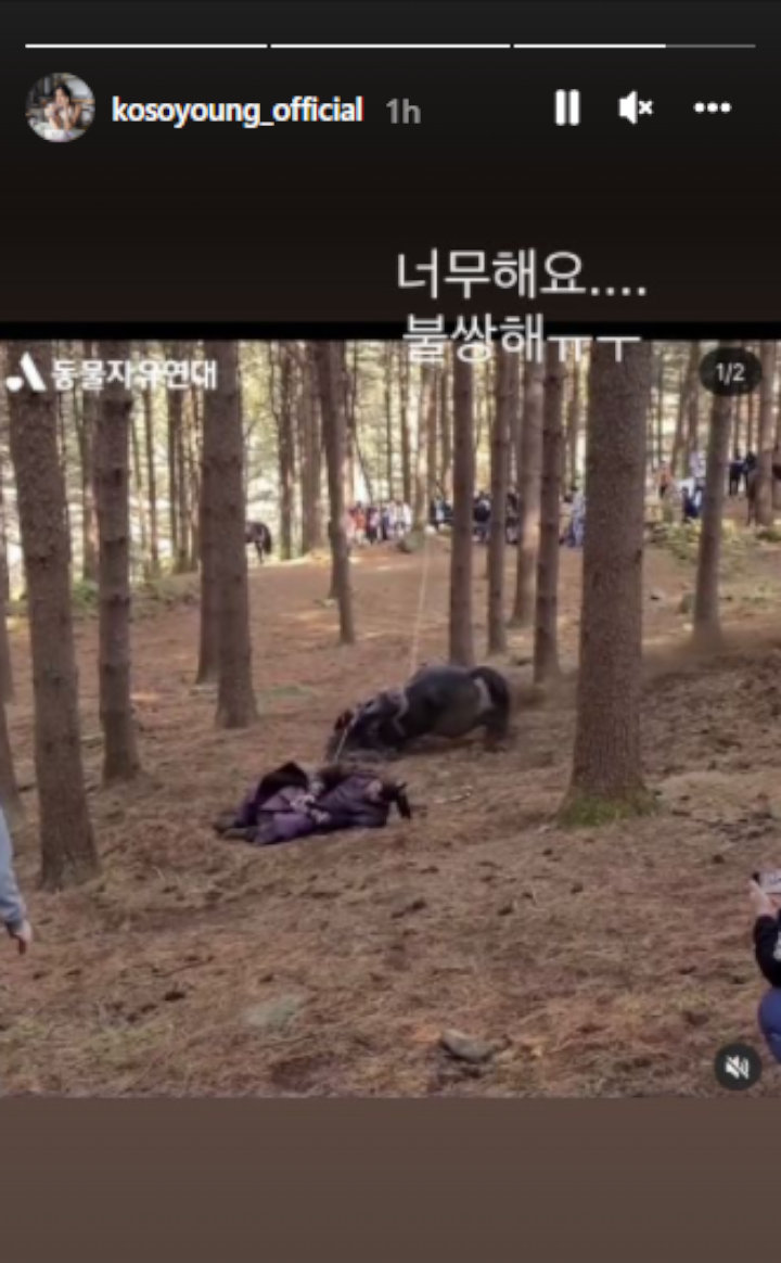 Istri Jang Dong Gun Komentari Kontroversi Penyalahgunaan Hewan \'The King of Tears, Lee Bang Won\'