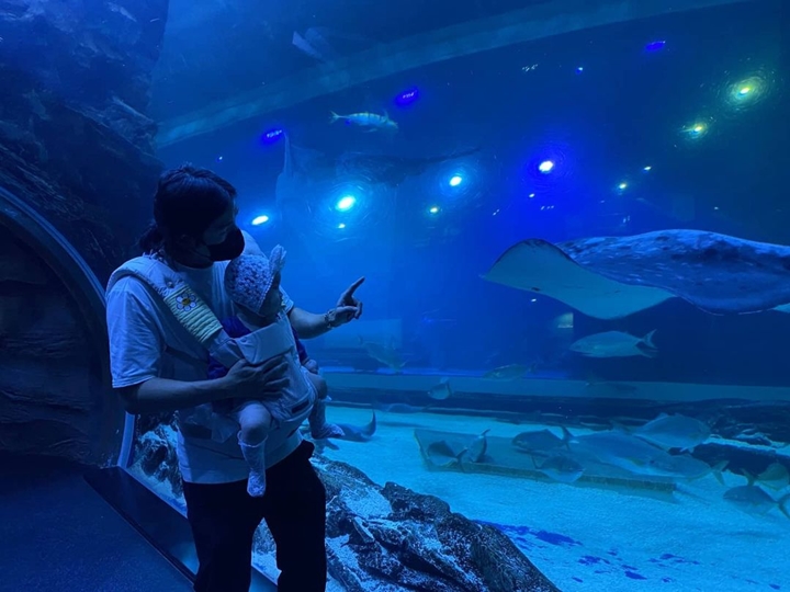 Mengunjungi Aquarium Bersama