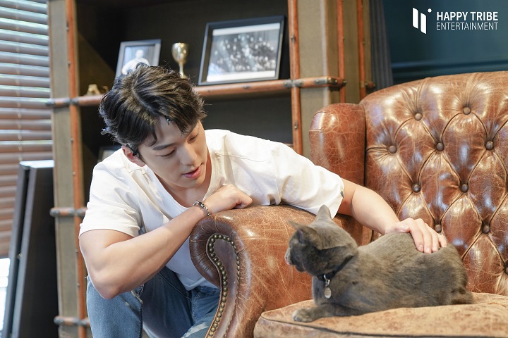 pecinta kucing