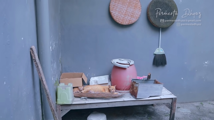 Penampakan Area Belakang Rumah