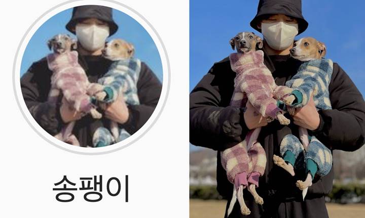 Kakak Jungkook BTS Posting Foto Versi Jelas Sang Adik Bersama Dua Anjing Kesayangan