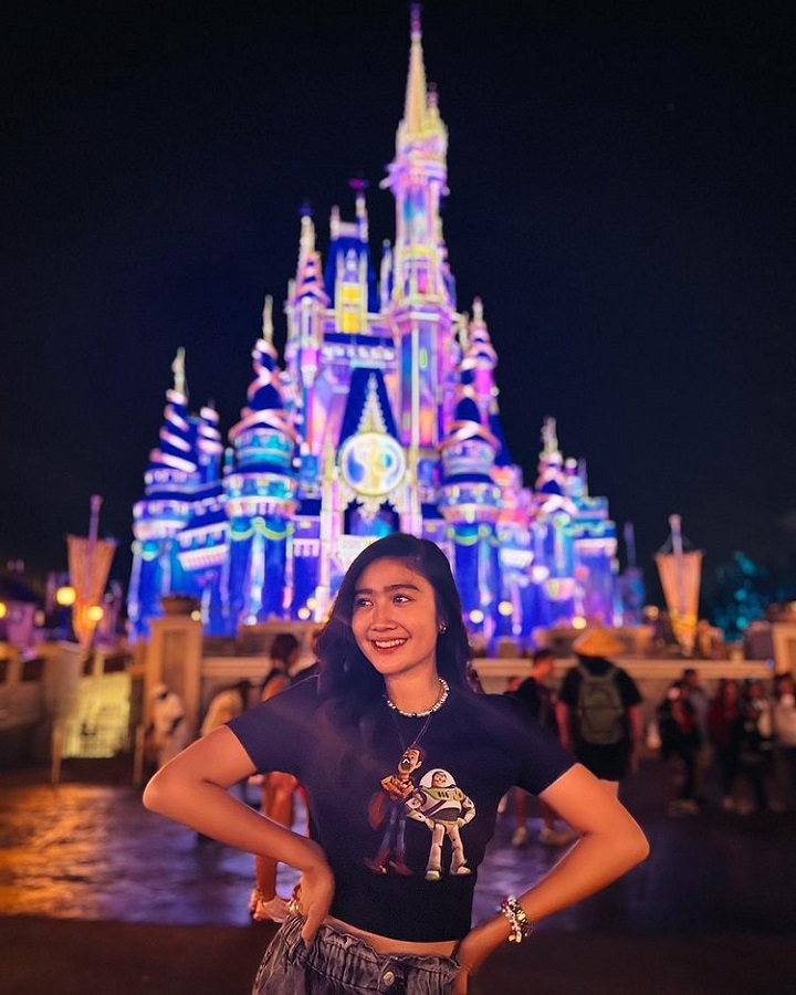 Kunjungi Disneyland 