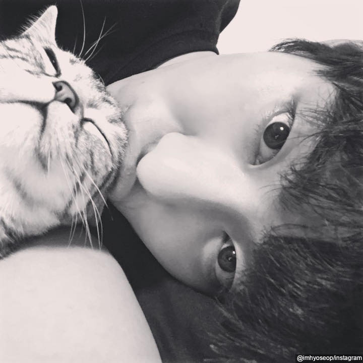 Pecinta kucing