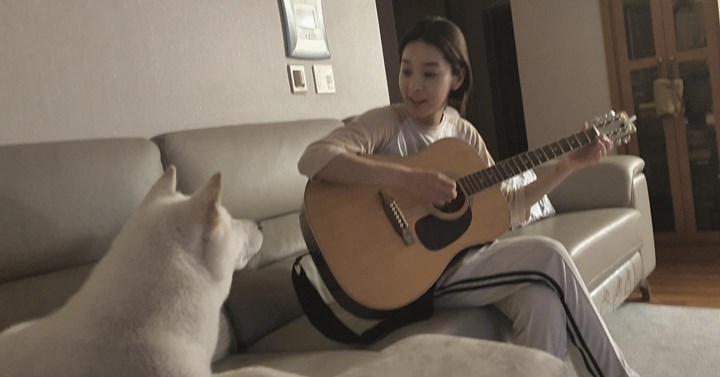 pecinta anjing
