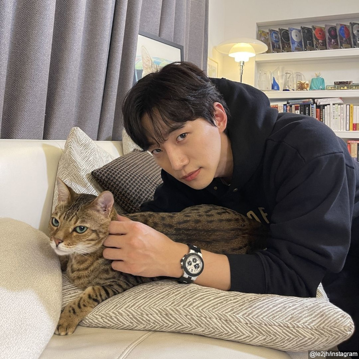 Pecinta Kucing