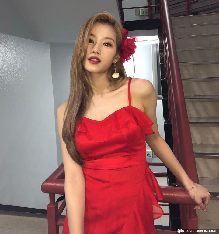 Penggemar Han So Hee