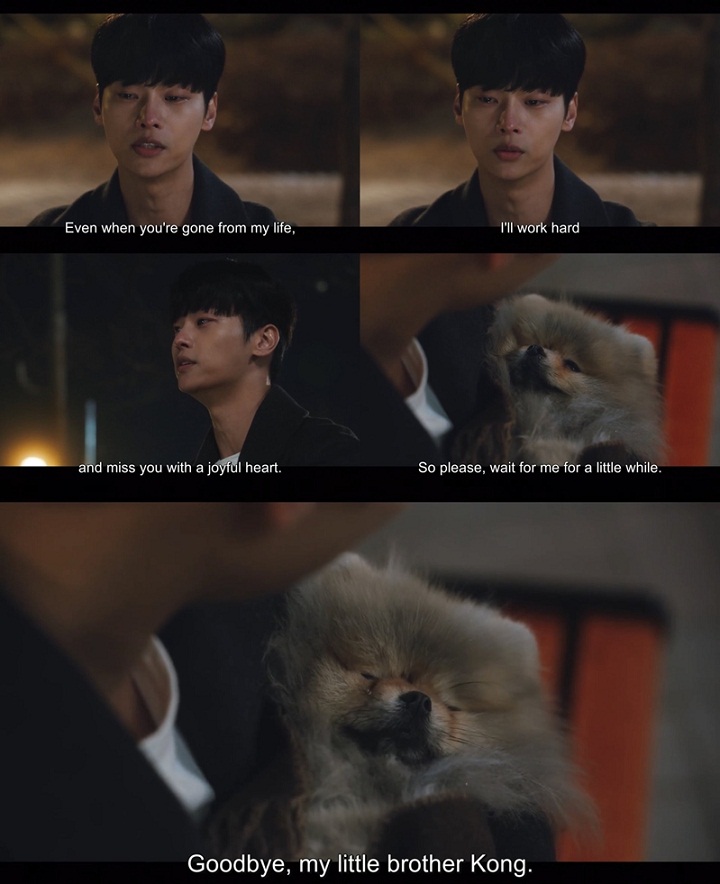 Menguras Emosi, Penampilan Anjing N VIXX di \'Tomorrow\' Jadi Perbincangan