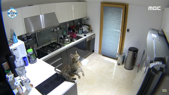 Dapur Minimalis