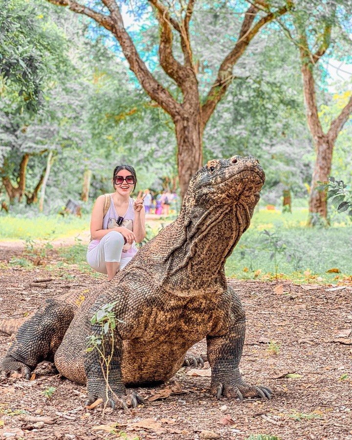Kunjungi Komodo Island 
