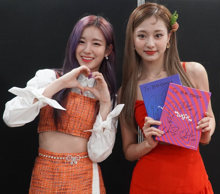 <i>Fangirl</i> Sukses