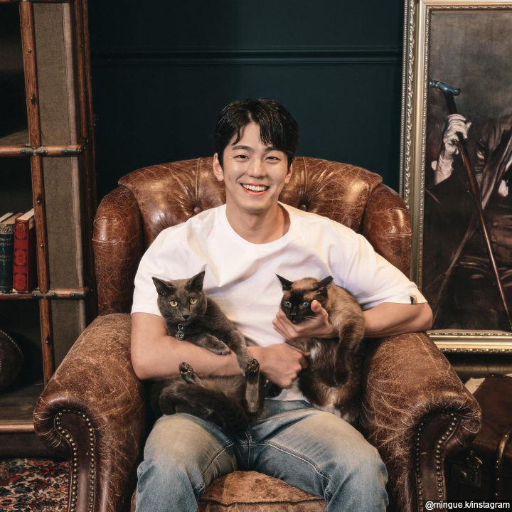 Pecinta Kucing