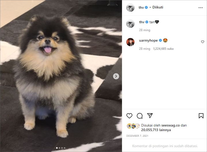 Ekspresi Eks Babysitter Mawar AFI Saat Selfie, Nathalie Holscher Sindir Seseorang - Topik Pagi