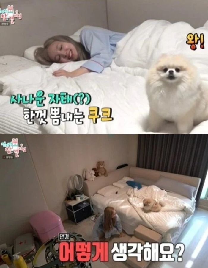 Kini Jadi Idol Kaya Raya, Hunian Nayeon Twice Justru Bikin Miris dengan Wallpaper Robek