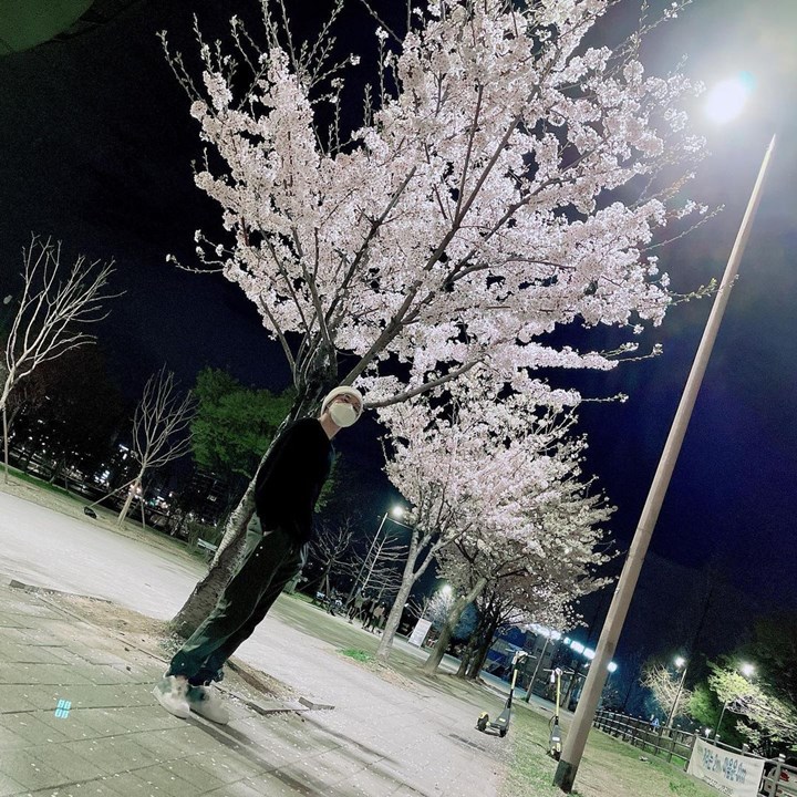 Nikmati <i>Cherry Blossom</i> di Malam Hari