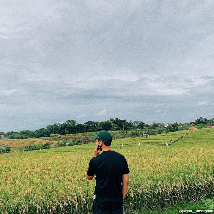 Nikmati Hijaunya Alam Bali