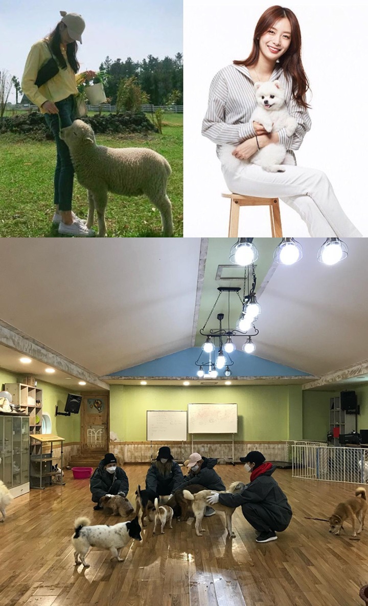 Animal Lovers